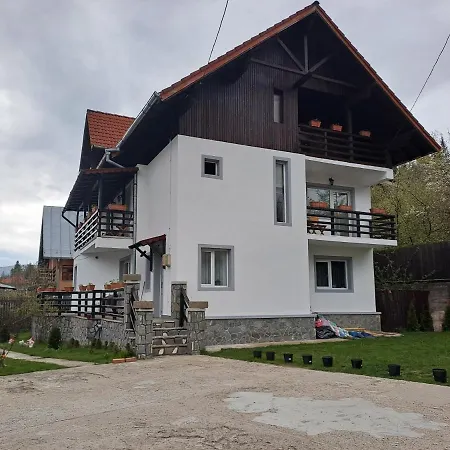 Homestay Casa Teomar