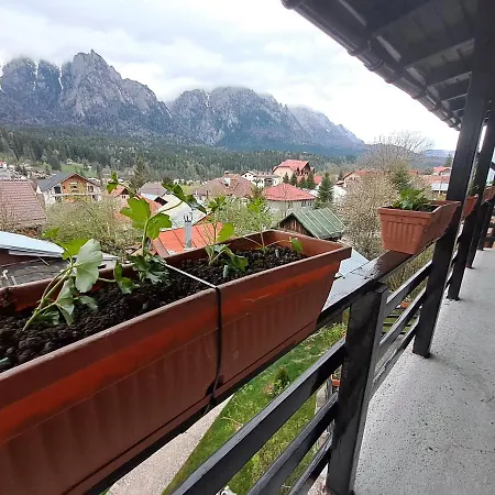 Homestay Casa Teomar Busteni