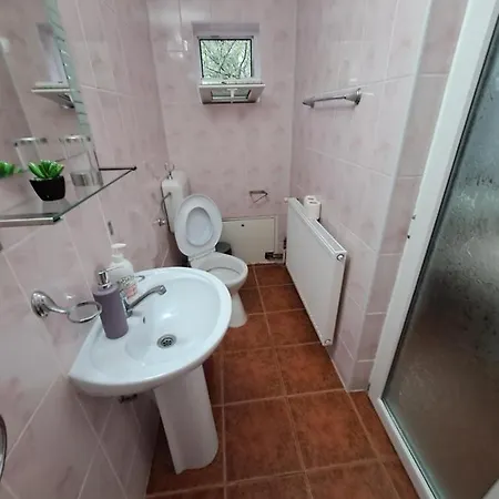 Casa Teomar Busteni