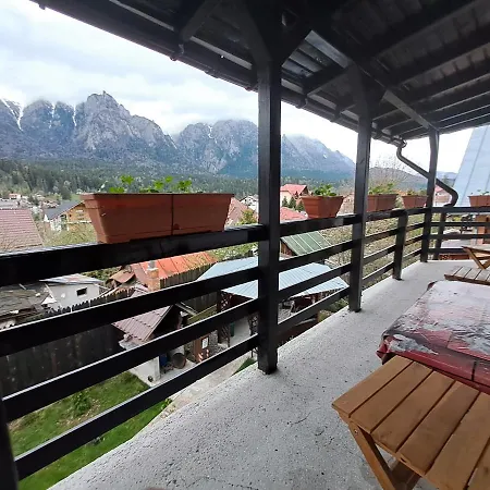 Homestay Casa Teomar