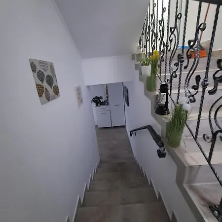 Casa Teomar Homestay