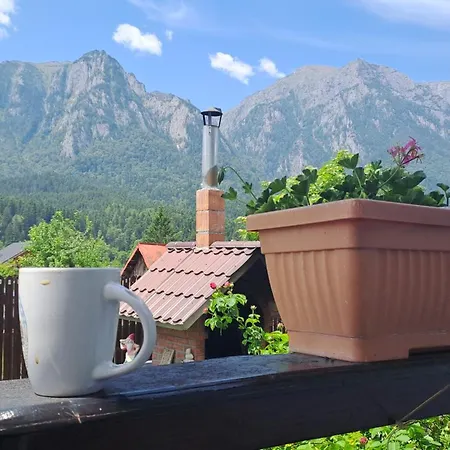 Homestay Casa Teomar Busteni