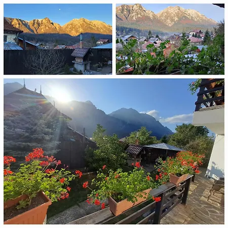 Casa Teomar Homestay Busteni